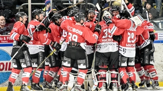HC Red-Ice - SC Langenthal - Copyright Christian Hofmann-Le Nouvelliste - Février 2016 a